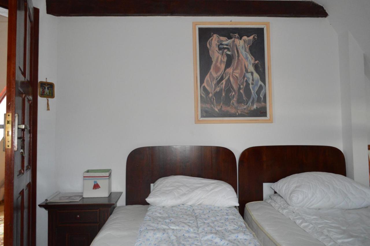 La Mos Pavel Hotel Noslac Ngoại thất bức ảnh