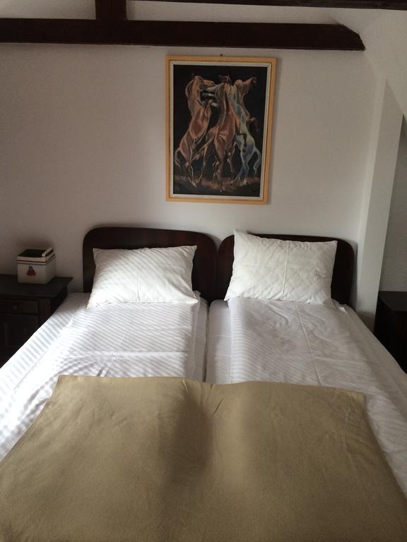 La Mos Pavel Hotel Noslac Ngoại thất bức ảnh
